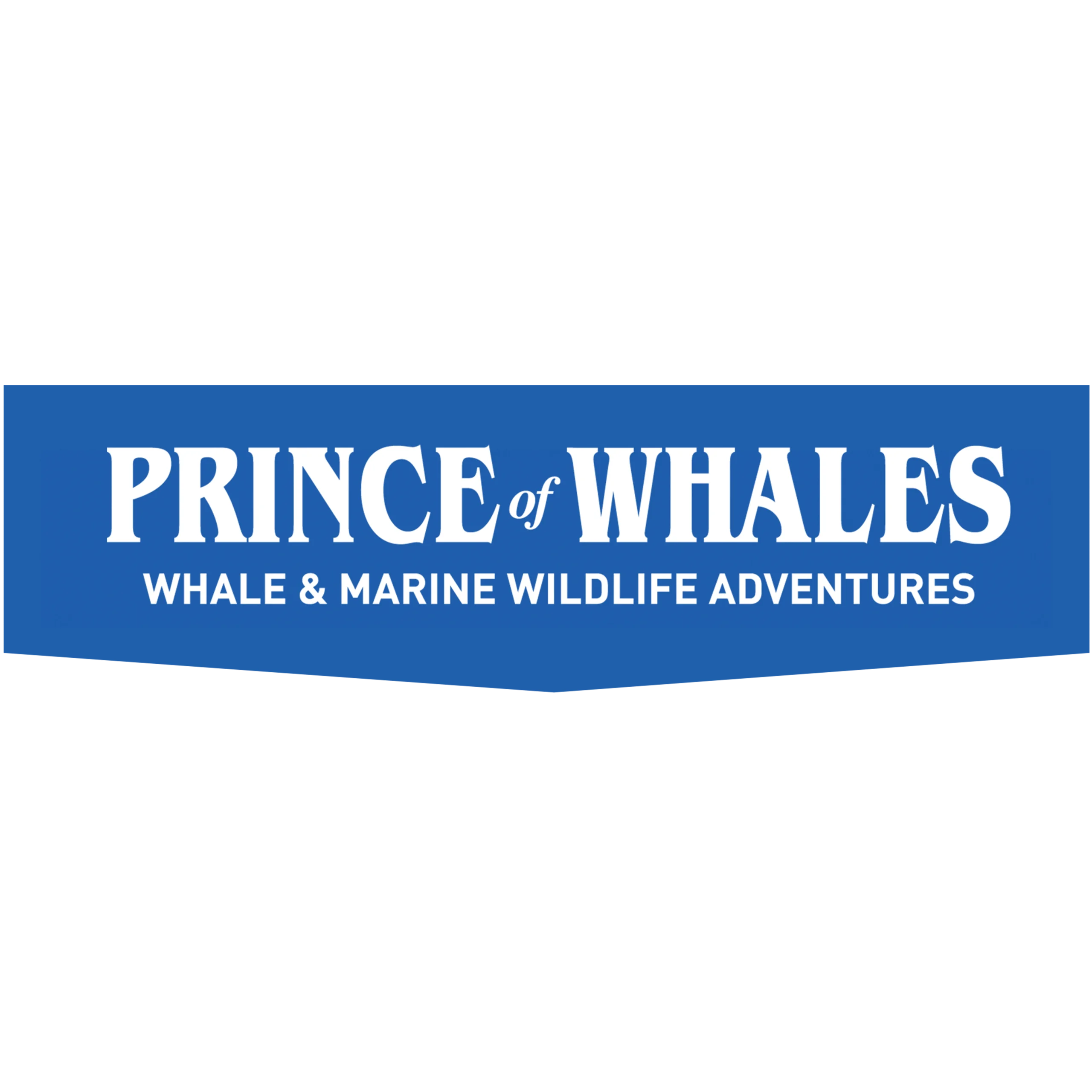 Hullo Ferries - Prince of Whales Whale & Marine Wildlife Adventures